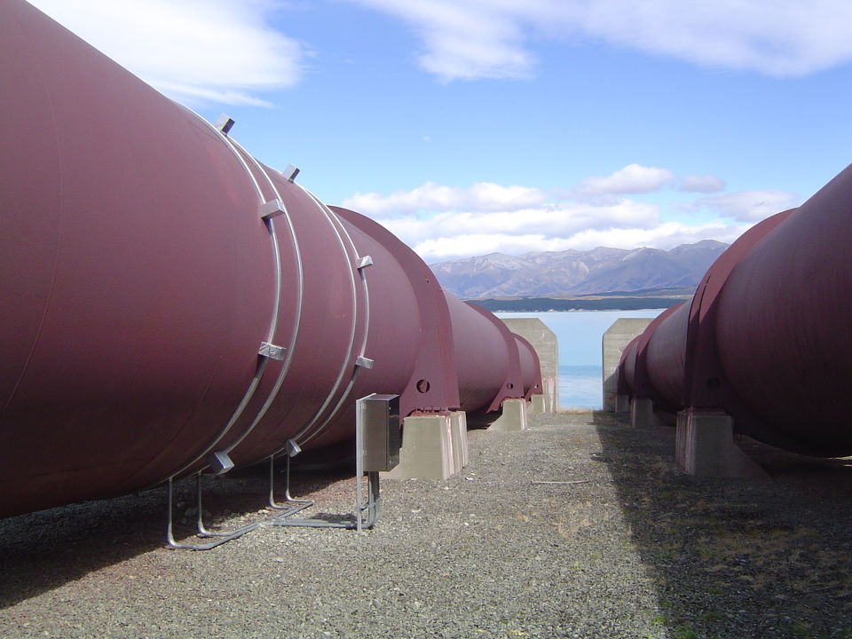 Plant Performance Investigations